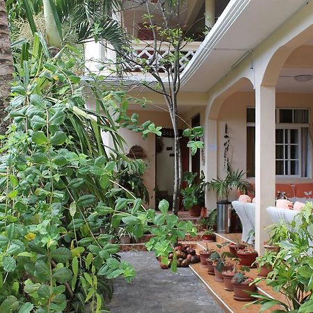 Villa Le Chapo Port Mathurin Extérieur photo