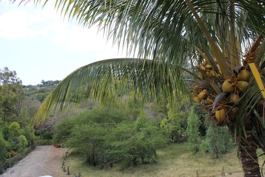 Villa Le Chapo Port Mathurin Chambre photo